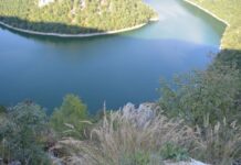 The Ballroom and Its Use